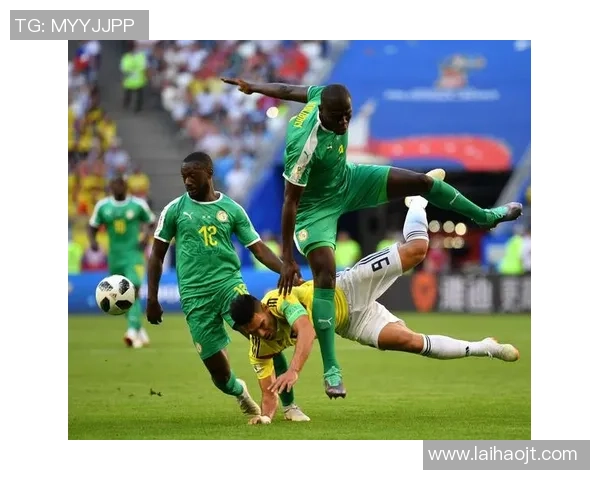 塞尔加尔足球队球星带领国家队崭露头角助力世界杯征程